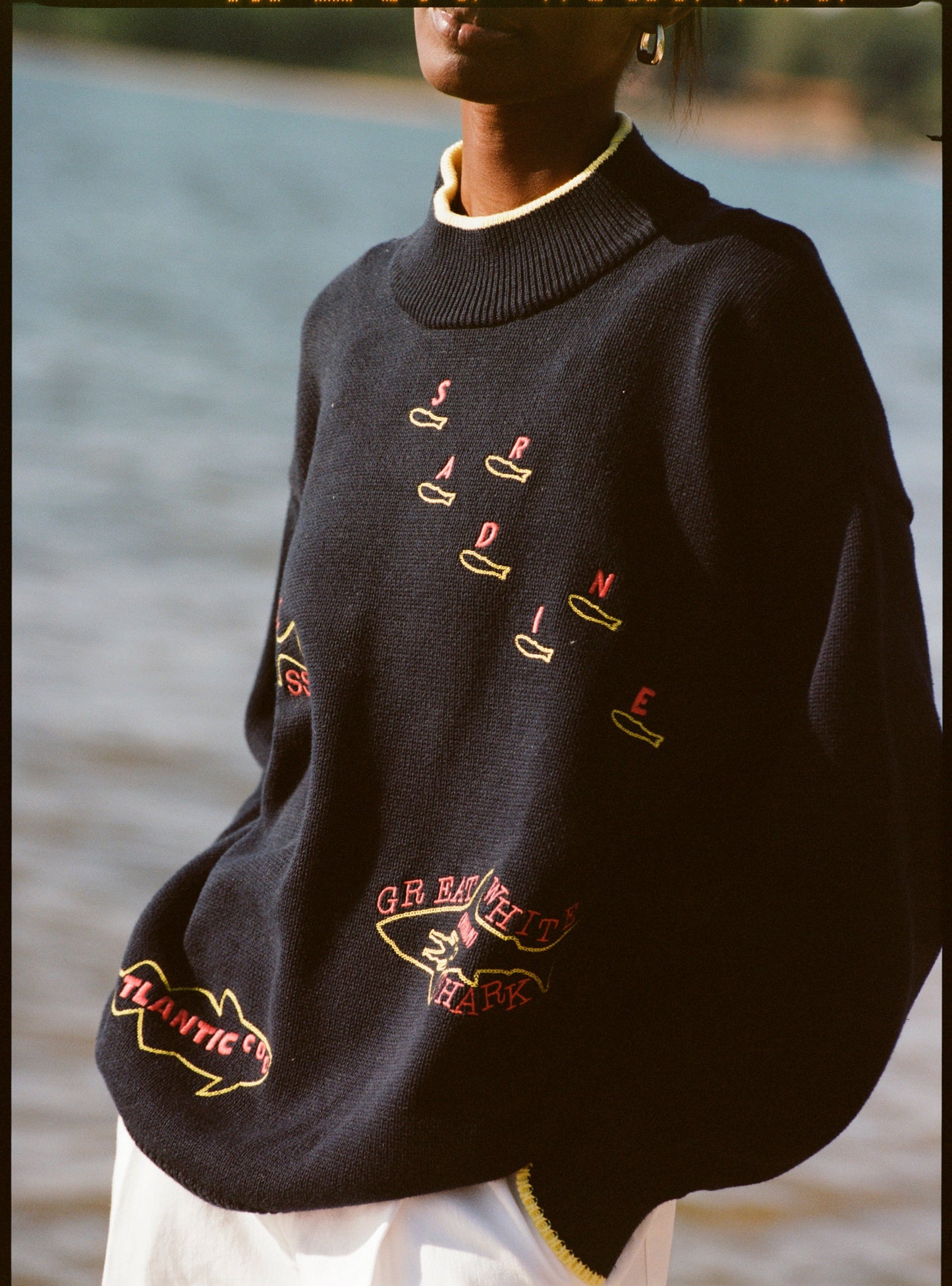 Customizable 'Fishes of the North Atlantic' Sweater