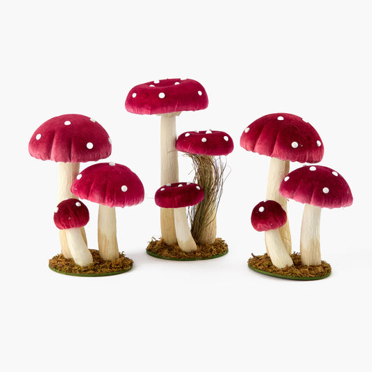 Red Spotted Mushroom Family