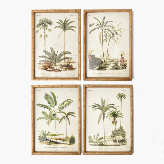Palm Tree Bamboo Framed Wall Art (Set of 4)