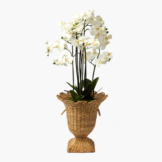 Liliana Scalloped Rattan Urn & Faux Orchid