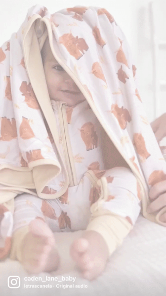 moments made for COZY