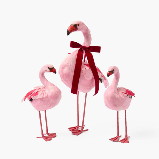 Faye Flamingo Family