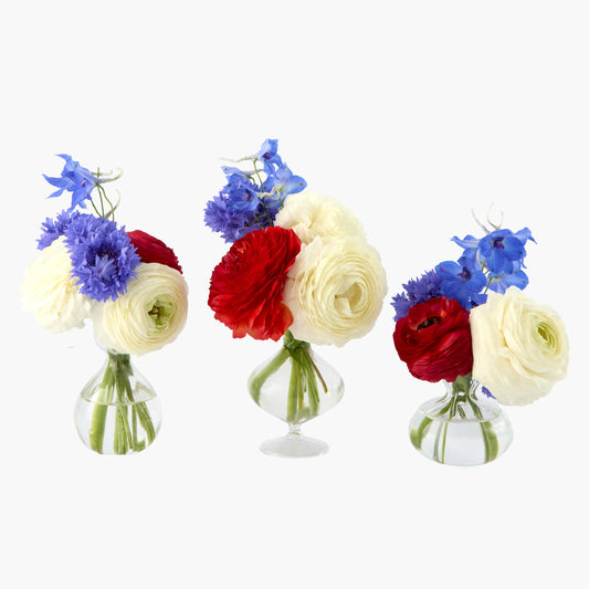 Grace Bud Vase (Set of 3)